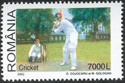 Cricket