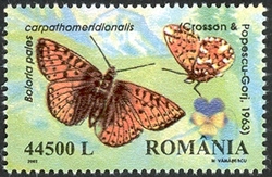 Endemic Butterflies of Romania - Boloria pales carpathomeridionalis