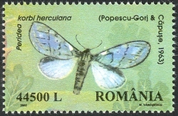 Endemic Butterflies of Romania - Peridea korbi herculana