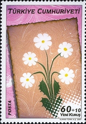 Traditional Turkish Arts - Marbling