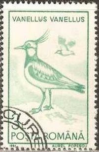 Stamp, Northern Lapwing (Vanellus vanellus), Romania,  , Birds, Animals (Fauna)