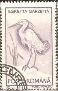 Stamp, Little Egret (Egretta garzetta), Romania,  , Birds, Animals (Fauna)