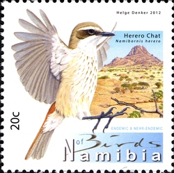 Endemic and Near-Endemic birds of Namibia - Herero Chat