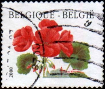 Geranium Pelargonium Roll stamp 2000