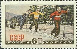 Cross-country skiing