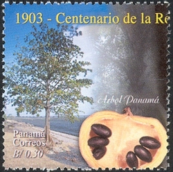 Centenary of the Republic of Panama 1903 to 2003  - Sterculia apetala