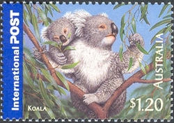 Bush Wildlife - Koala
