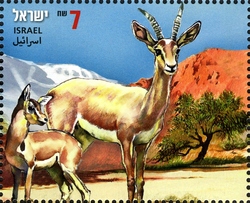 Endangered Species From the Desert to the Arctic - Israel-Greenland Joint issue