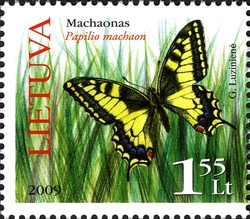 Red Book of Lithuania - Grassland Flora and Fauna - Day flying buttefly Machaon
