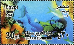Liberation of Sinai - Sharm El-Sheik
