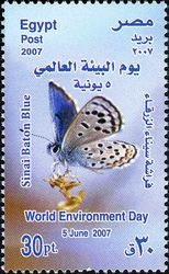 World Environment Day - Sinai Baton Blue