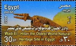Environment Day - Wadi El-Hitan the oldest world Natural Heritage Site in Egypt