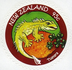 New Zealand Native Wildlife - Tuatara