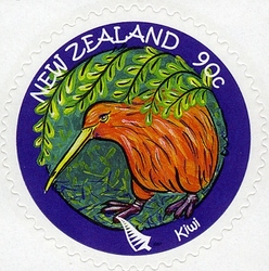 New Zealand Native Wildlife - Kiwi