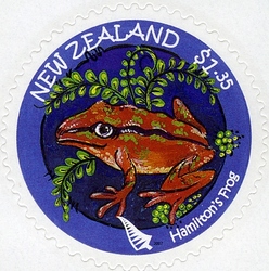 New Zealand Native Wildlife - Hamilton's Frog