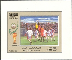 Football World Cup 2002