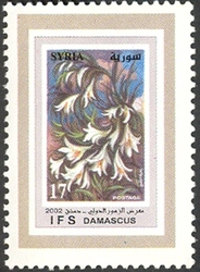 Flowers Fair - Syrian flowers