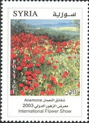 Flowers Fair - Anemone