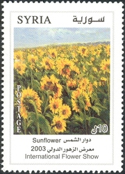 Flowers Fair - Sunflower