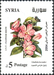 International Flowers Fair - Gladiola lavender
