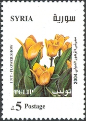 International Flowers Fair - Tulip
