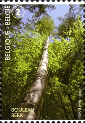 Stamp, Forest for the Trees - Forêt de Soignes - Birch, Belgium,  