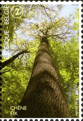 Stamp, Forest for the Trees - Forêt de Soignes - Oak, Belgium,  