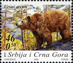 Protected Species - Ursus arctos