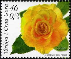Flora - Roses - Sphinx