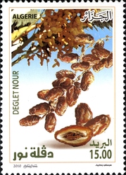 Dates of Algeria