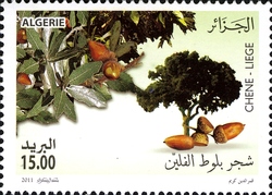 2011 - International Year of the Forest - Cork Oak