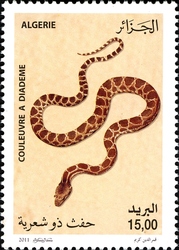 Snakes