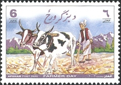 Farmer Day