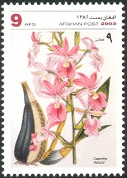 Stamp, Orchids - Calanthe veitchii, Afghanistan,  