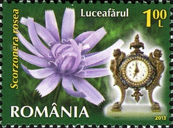 Stamp, Flowers Clock - Viper's Grass, Romania,  