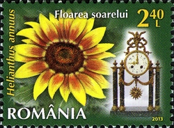 Flowers Clock - Sunflower