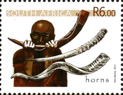 Rare Musical Instruments - horns