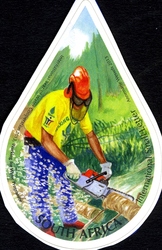 International Year of Water Cooperation
