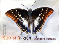 Stamp, Beautiful Butterflies and Moths - Charaxes marieps, South Africa, Homelands,  