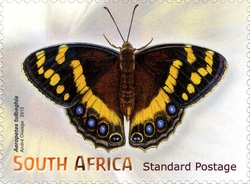 Stamp, Beautiful Butterflies and Moths - Aeropetes tulbaghia, South Africa, Homelands,  