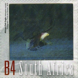 Flight of the Fish Eagle