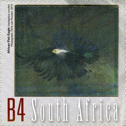 Flight of the Fish Eagle