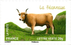 Cows from our Regions