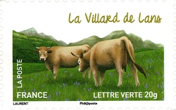 Cows from our Regions