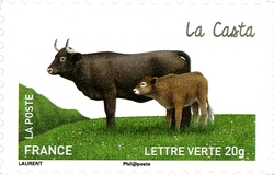 Cows from our Regions