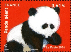 Bears - Giant Panda
