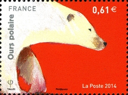 Bears - Polar Bear