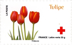 Red Cross - Love depicted in 10 flowers