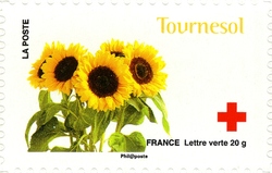 Red Cross - Love depicted in 10 flowers