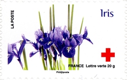 Red Cross - Love depicted in 10 flowers